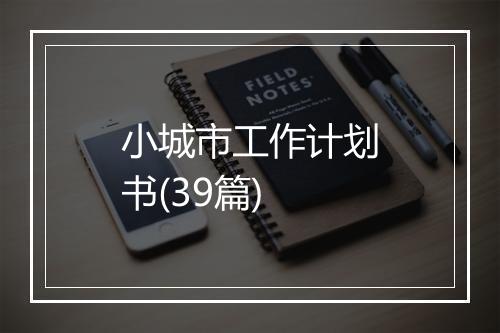 小城市工作计划书(39篇)