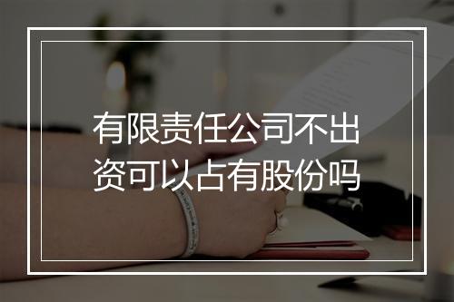 有限责任公司不出资可以占有股份吗