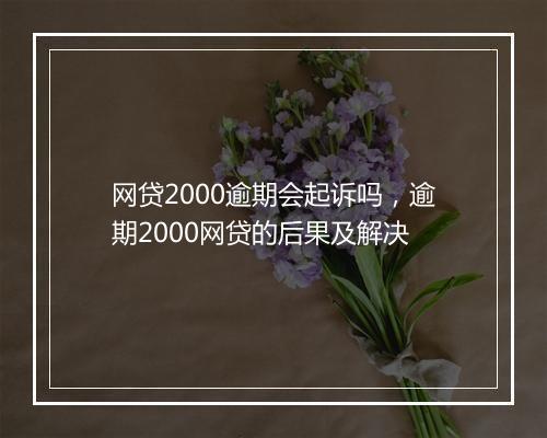网贷2000逾期会起诉吗，逾期2000网贷的后果及解决