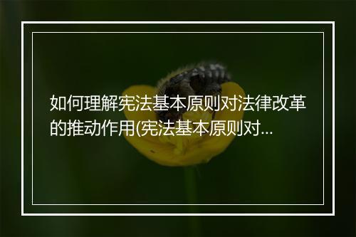 如何理解宪法基本原则对法律改革的推动作用(宪法基本原则对宪法内容的影响)