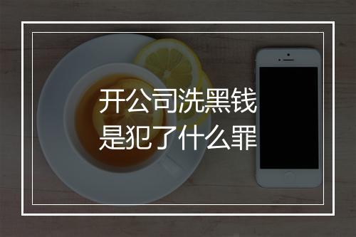 开公司洗黑钱是犯了什么罪