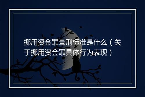 挪用资金罪量刑标准是什么（关于挪用资金罪具体行为表现）