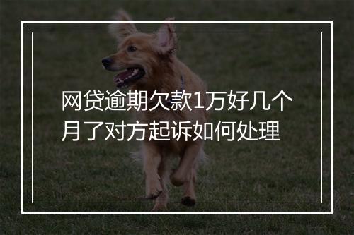 网贷逾期欠款1万好几个月了对方起诉如何处理