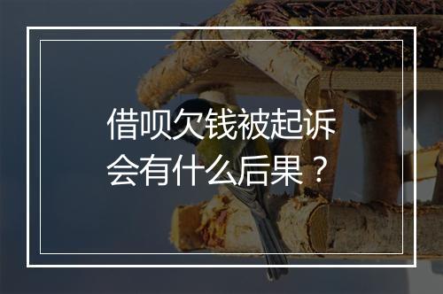 借呗欠钱被起诉会有什么后果？