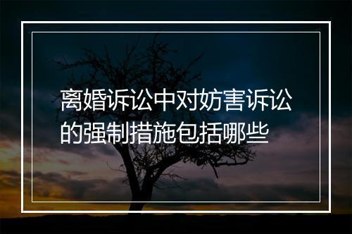 离婚诉讼中对妨害诉讼的强制措施包括哪些