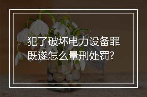 犯了破坏电力设备罪既遂怎么量刑处罚?