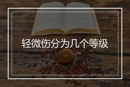 轻微伤分为几个等级
