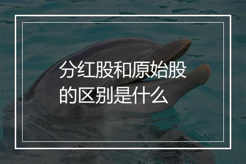 分红股和原始股的区别是什么