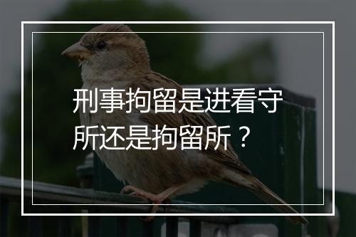 刑事拘留是进看守所还是拘留所？