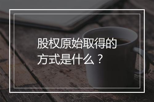 股权原始取得的方式是什么？