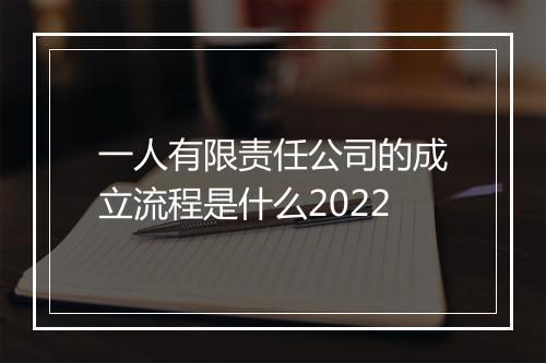 一人有限责任公司的成立流程是什么2022