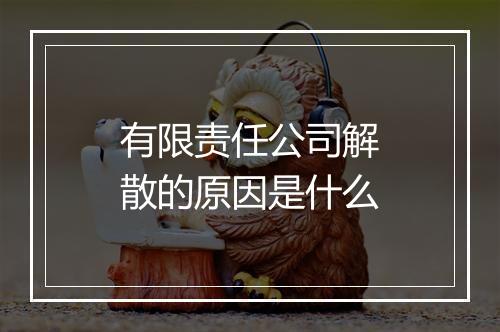 有限责任公司解散的原因是什么