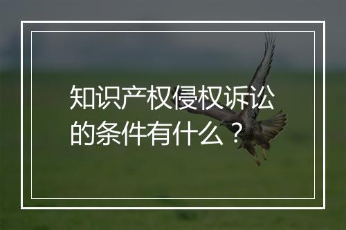 知识产权侵权诉讼的条件有什么？