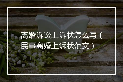离婚诉讼上诉状怎么写（民事离婚上诉状范文）