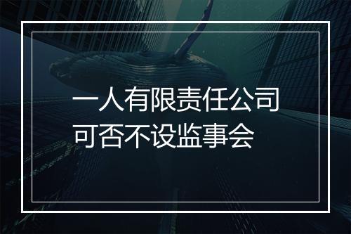 一人有限责任公司可否不设监事会