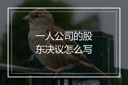 一人公司的股东决议怎么写