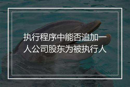 执行程序中能否追加一人公司股东为被执行人