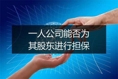 一人公司能否为其股东进行担保