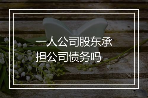 一人公司股东承担公司债务吗