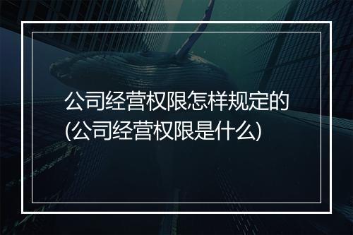 公司经营权限怎样规定的(公司经营权限是什么)