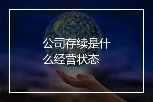 公司存续是什么经营状态
