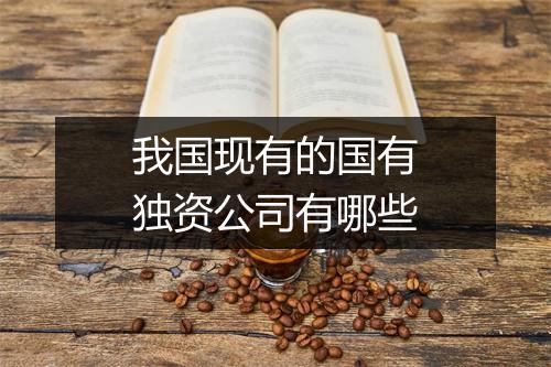我国现有的国有独资公司有哪些