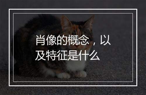 肖像的概念，以及特征是什么