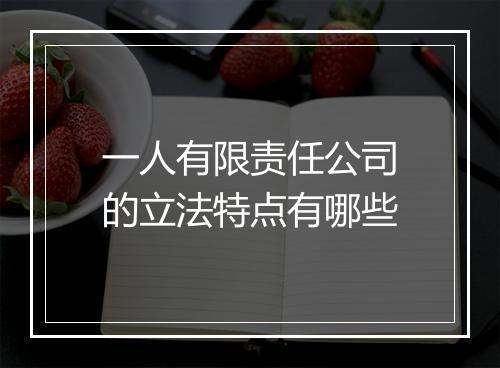 一人有限责任公司的立法特点有哪些