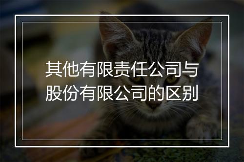 其他有限责任公司与股份有限公司的区别
