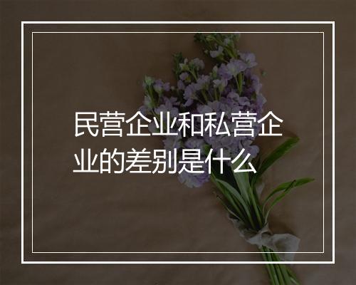 民营企业和私营企业的差别是什么