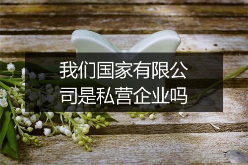 我们国家有限公司是私营企业吗