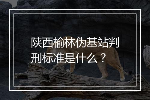 陕西榆林伪基站判刑标准是什么？