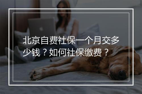 北京自费社保一个月交多少钱？如何社保缴费？