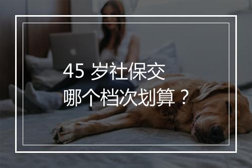 45 岁社保交哪个档次划算？