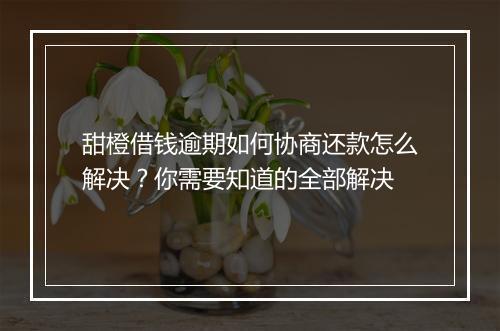 甜橙借钱逾期如何协商还款怎么解决？你需要知道的全部解决