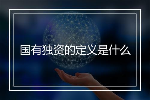 国有独资的定义是什么