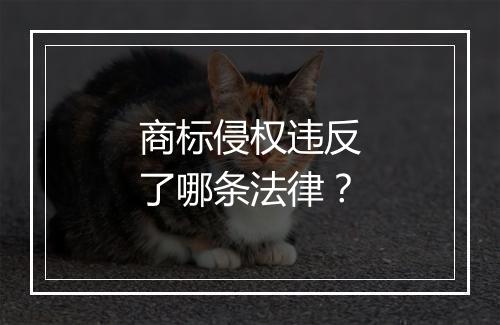 商标侵权违反了哪条法律？