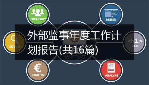 外部监事年度工作计划报告(共16篇)