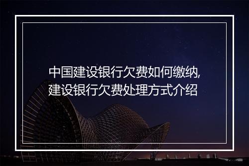 中国建设银行欠费如何缴纳,建设银行欠费处理方式介绍