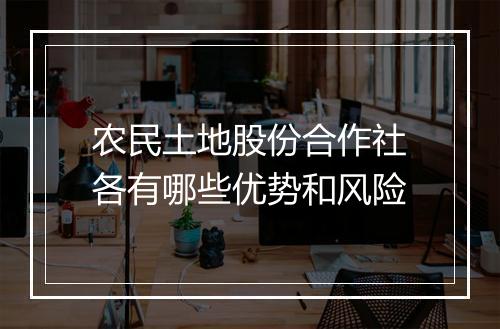 农民土地股份合作社各有哪些优势和风险