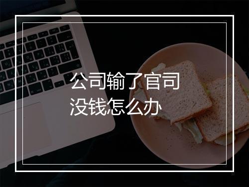 公司输了官司没钱怎么办