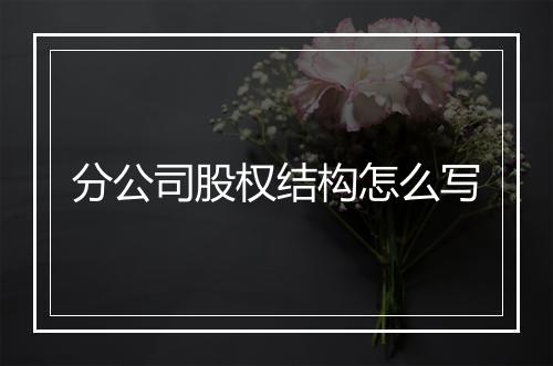 分公司股权结构怎么写