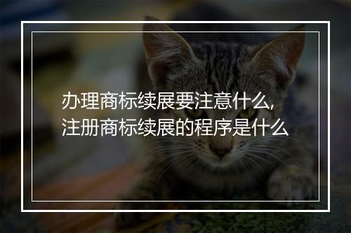 办理商标续展要注意什么,注册商标续展的程序是什么