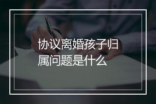 协议离婚孩子归属问题是什么