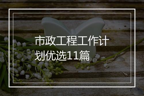 市政工程工作计划优选11篇