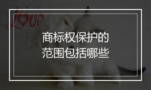 商标权保护的范围包括哪些