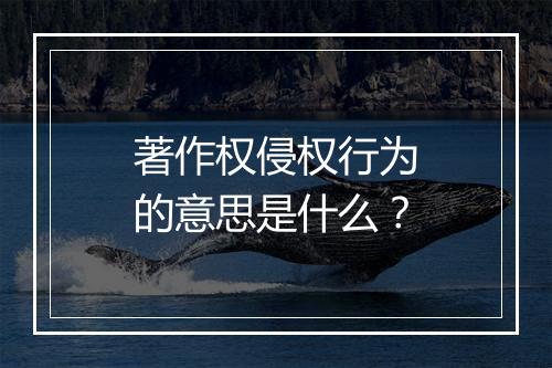 著作权侵权行为的意思是什么？