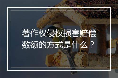 著作权侵权损害赔偿数额的方式是什么？