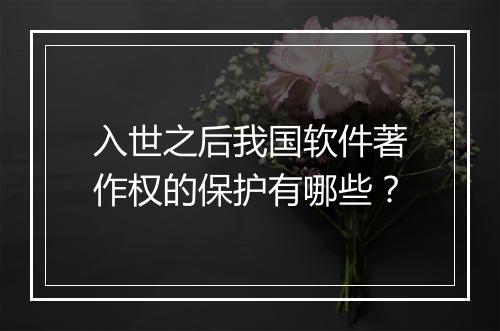 入世之后我国软件著作权的保护有哪些？