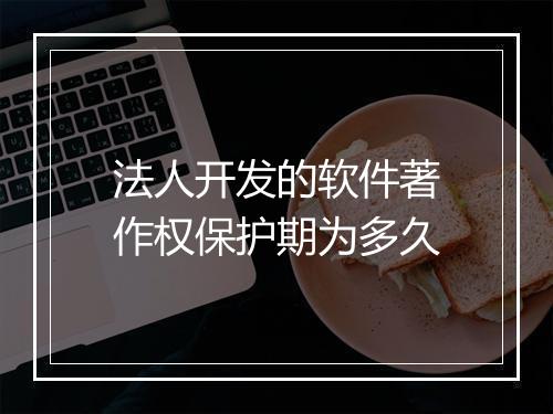 法人开发的软件著作权保护期为多久